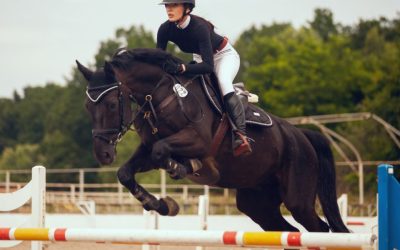 Comment parier sur les sports équestres : techniques et stratégies
